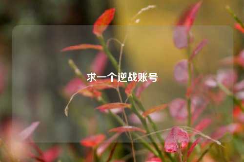 求一个逆战账号