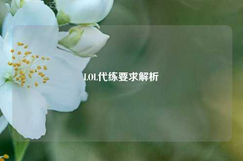 LOL代练要求解析