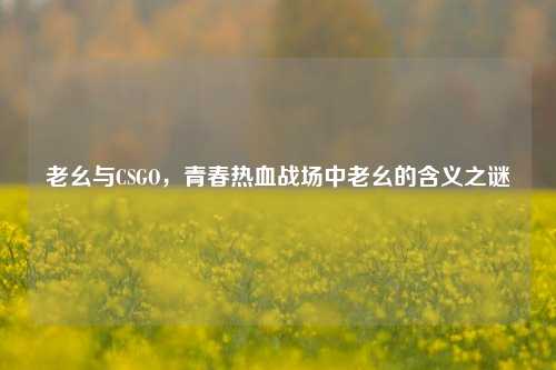 老幺与CSGO,青春热血战场中老幺的含义之谜