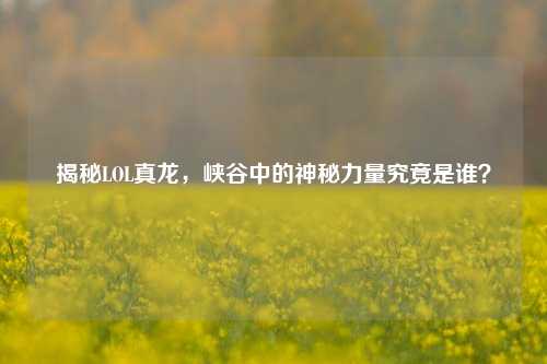 揭秘LOL真龙，峡谷中的神秘力量究竟是谁？