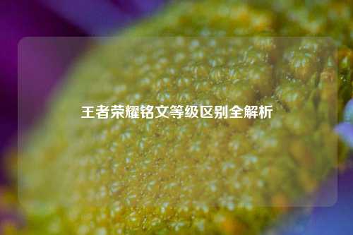 王者荣耀铭文等级区别全解析