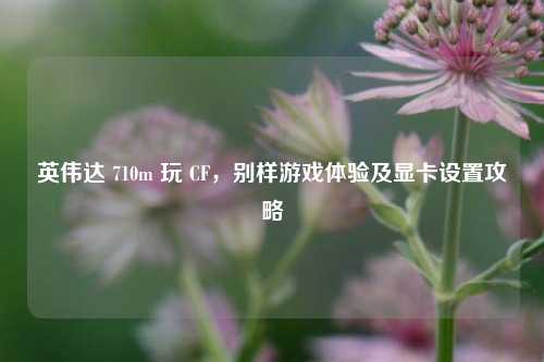 英伟达 710m 玩 CF,别样游戏体验及显卡设置攻略