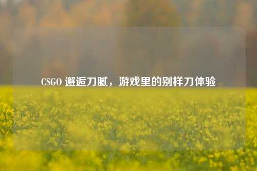 CSGO 邂逅刀腻,游戏里的别样刀体验