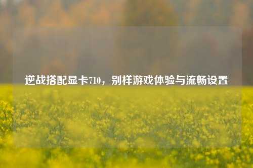 逆战搭配显卡710,别样游戏体验与流畅设置