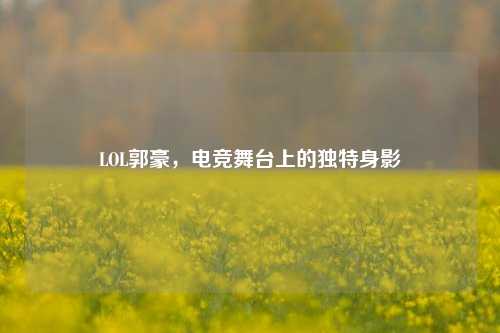 LOL郭豪,电竞舞台上的独特身影