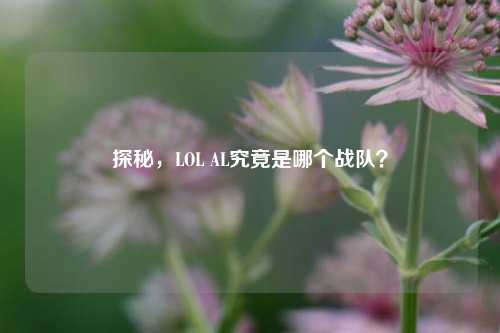 探秘,LOL AL究竟是哪个战队?