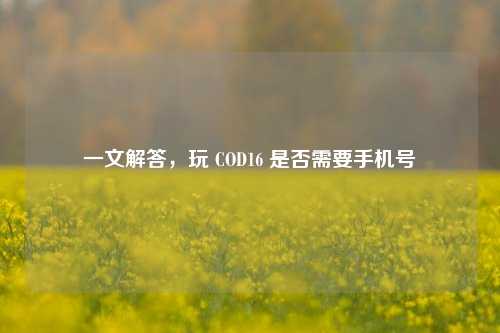 一文解答,玩 COD16 是否需要手机号
