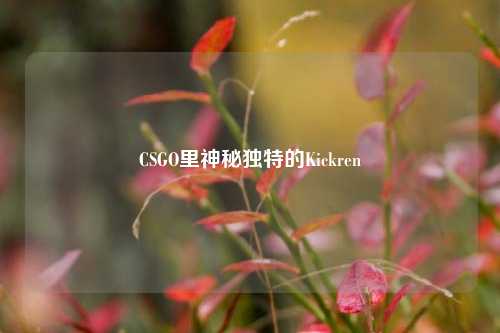 CSGO里神秘独特的Kickren