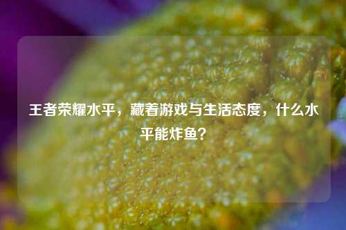 王者荣耀水平,藏着游戏与生活态度,什么水平能炸鱼?