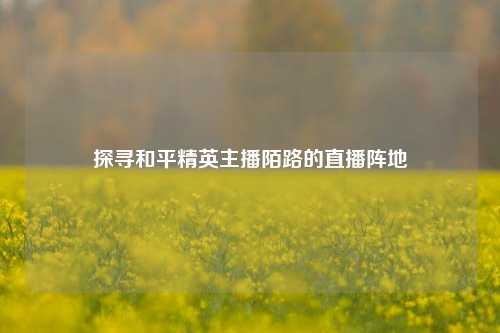 探寻和平精英主播陌路的直播阵地