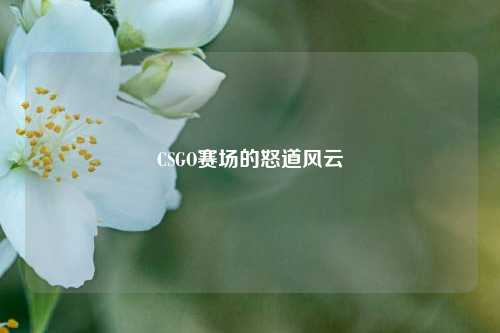 CSGO赛场的怒道风云