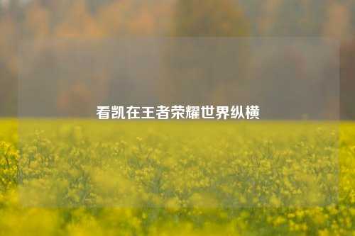 看凯在王者荣耀世界纵横