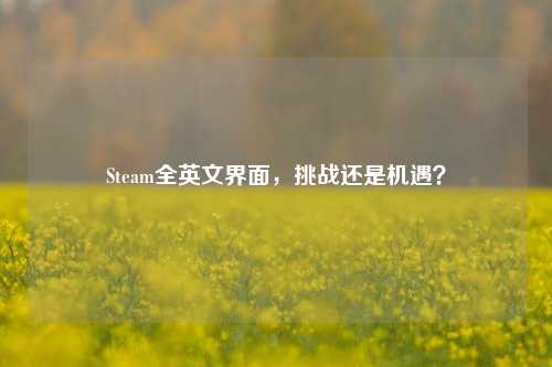 Steam全英文界面,挑战还是机遇?