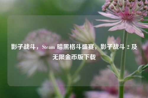 影子战斗，Steam 暗黑格斗盛宴，影子战斗 2 及无限金币版下载