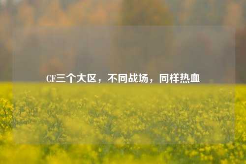 CF三个大区,不同战场,同样热血