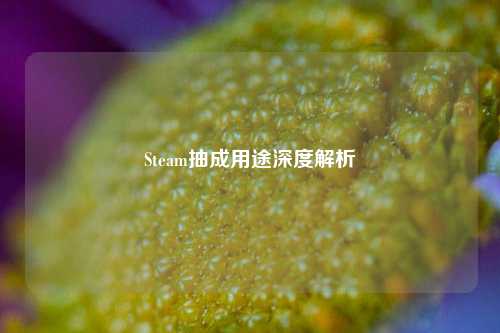 Steam抽成用途深度解析