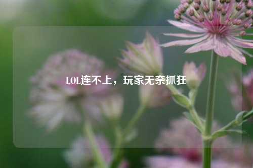 LOL连不上,玩家无奈抓狂