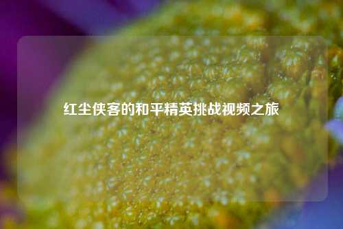 红尘侠客的和平精英挑战视频之旅