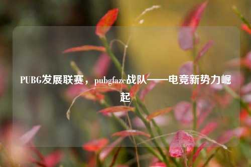 PUBG发展联赛,pubgfaze战队——电竞新势力崛起