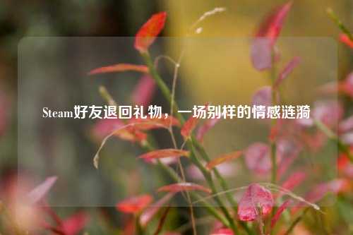Steam好友退回礼物,一场别样的情感涟漪