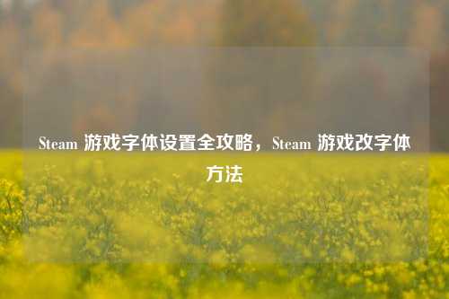 Steam 游戏字体设置全攻略,Steam 游戏改字体方法