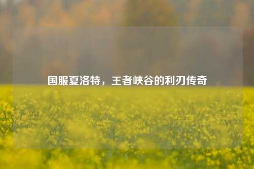 国服夏洛特,王者峡谷的利刃传奇