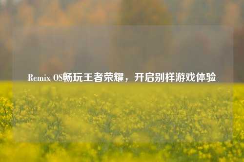 Remix OS畅玩王者荣耀,开启别样游戏体验