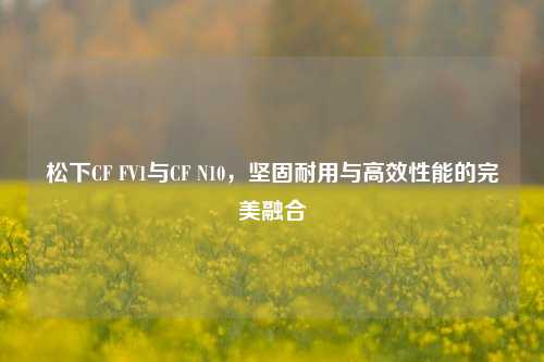 松下CF FV1与CF N10,坚固耐用与高效性能的完美融合