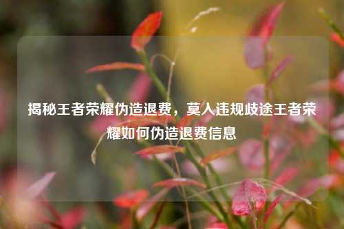 揭秘王者荣耀伪造退费,莫入违规歧途王者荣耀如何伪造退费信息