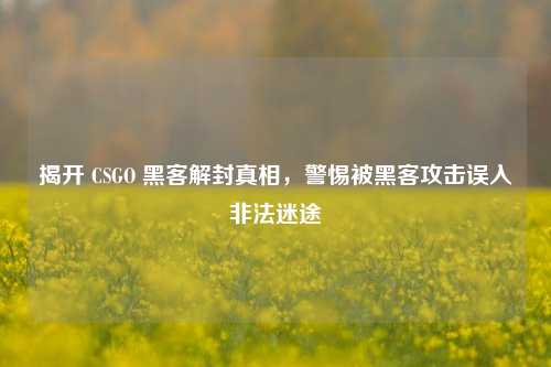 揭开 CSGO 黑客解封真相,警惕被黑客攻击误入非法迷途