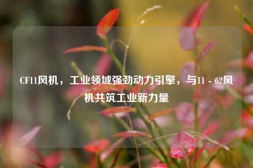CF11风机,工业领域强劲动力引擎,与11 - 62风机共筑工业新力量