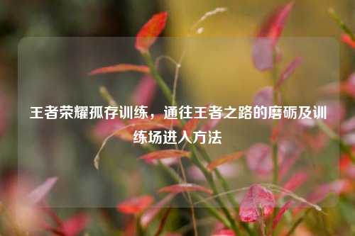 王者荣耀孤存训练，通往王者之路的磨砺及训练场进入方法