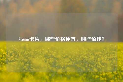 Steam卡片,哪些价格便宜,哪些值钱?