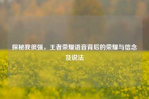 探秘我很强,王者荣耀语音背后的荣耀与信念及说法