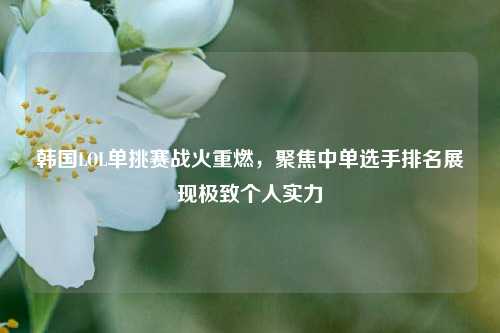 韩国LOL单挑赛战火重燃,聚焦中单选手排名展现极致个人实力