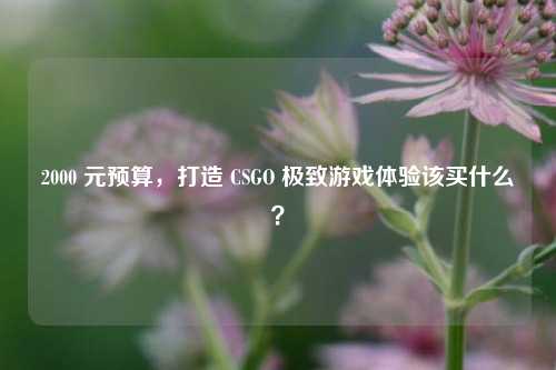 2000 元预算,打造 CSGO 极致游戏体验该买什么?