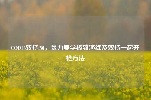 COD16双持.50,暴力美学极致演绎及双持一起开枪方法
