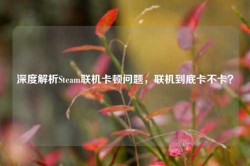 深度解析Steam联机卡顿问题,联机到底卡不卡?