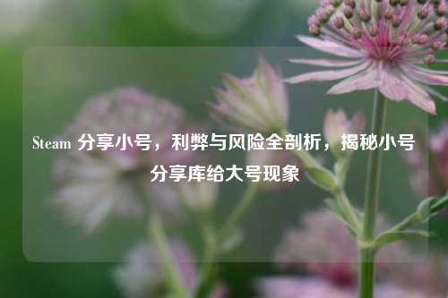Steam 分享小号,利弊与风险全剖析,揭秘小号分享库给大号现象
