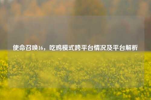 使命召唤16,吃鸡模式跨平台情况及平台解析