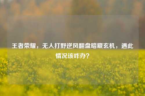王者荣耀,无人打野逆风翻盘暗藏玄机,遇此情况该咋办?