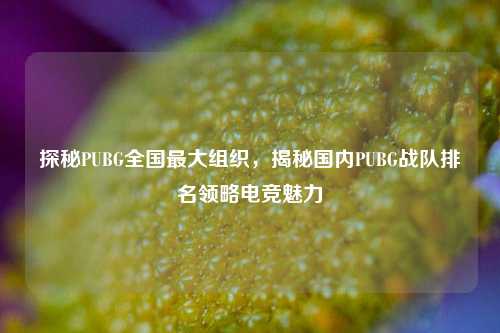 探秘PUBG全国最大组织,揭秘国内PUBG战队排名领略电竞魅力