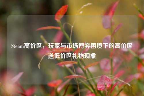 Steam高价区,玩家与市场博弈困境下的高价区送低价区礼物现象