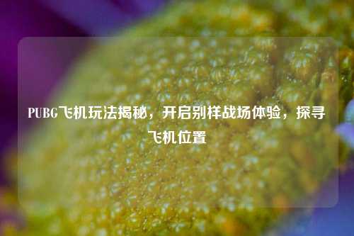PUBG飞机玩法揭秘,开启别样战场体验,探寻飞机位置