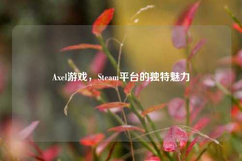 Axel游戏,Steam平台的独特魅力