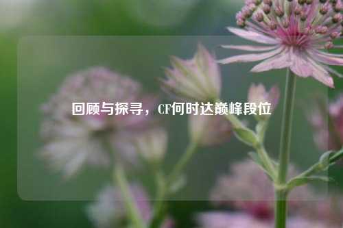 回顾与探寻,CF何时达巅峰段位