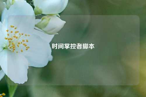 时间掌控者脚本