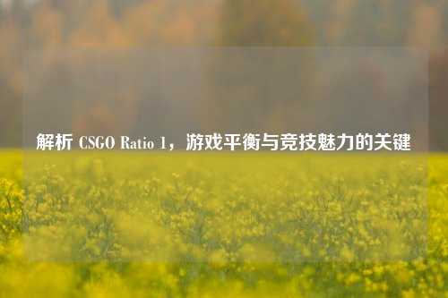 解析 CSGO Ratio 1,游戏平衡与竞技魅力的关键