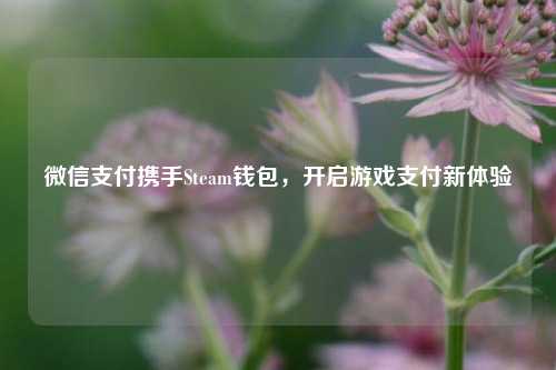 微信支付携手Steam钱包,开启游戏支付新体验