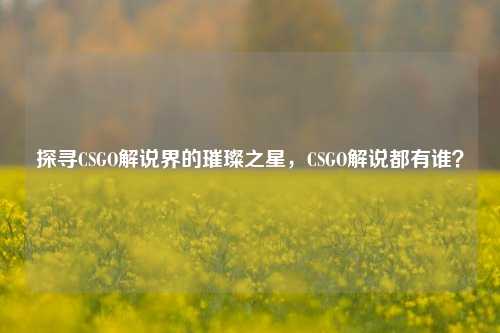 探寻CSGO解说界的璀璨之星,CSGO解说都有谁?